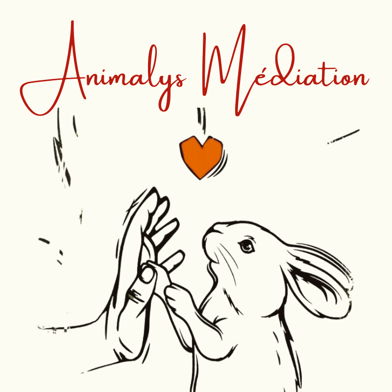 animalys mediation